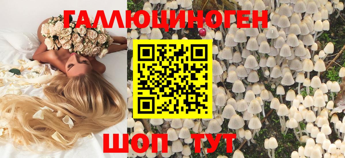 Галлюциногенные грибы GOLDEN TEACHER Можайск