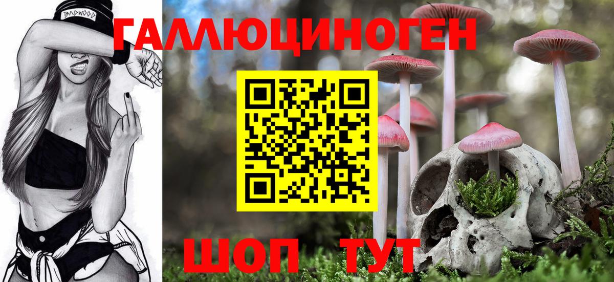 Псилоцибиновые грибы Magic Shrooms  Вход с VPN  Галлюциногенные грибы MAGIC MUSHROOMS  Можайск 